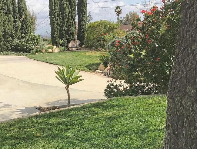 Building Photo - 3-Bedroom Home in Glendale's Foothills with RV Parking!