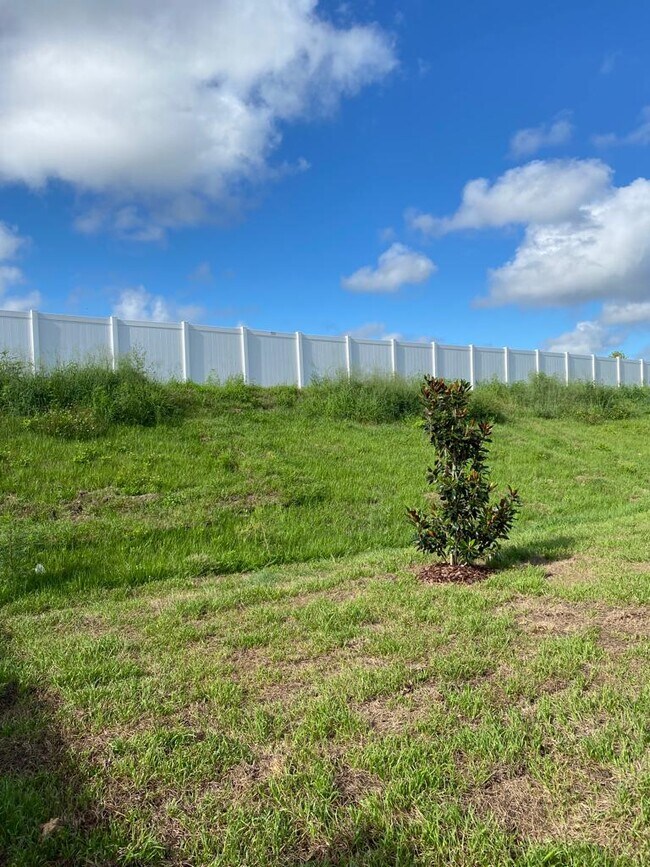 Building Photo - 308 Lake Smart Cir