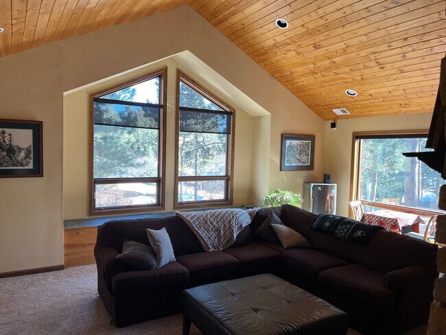 Living room - 19305 Misty Morning Dr