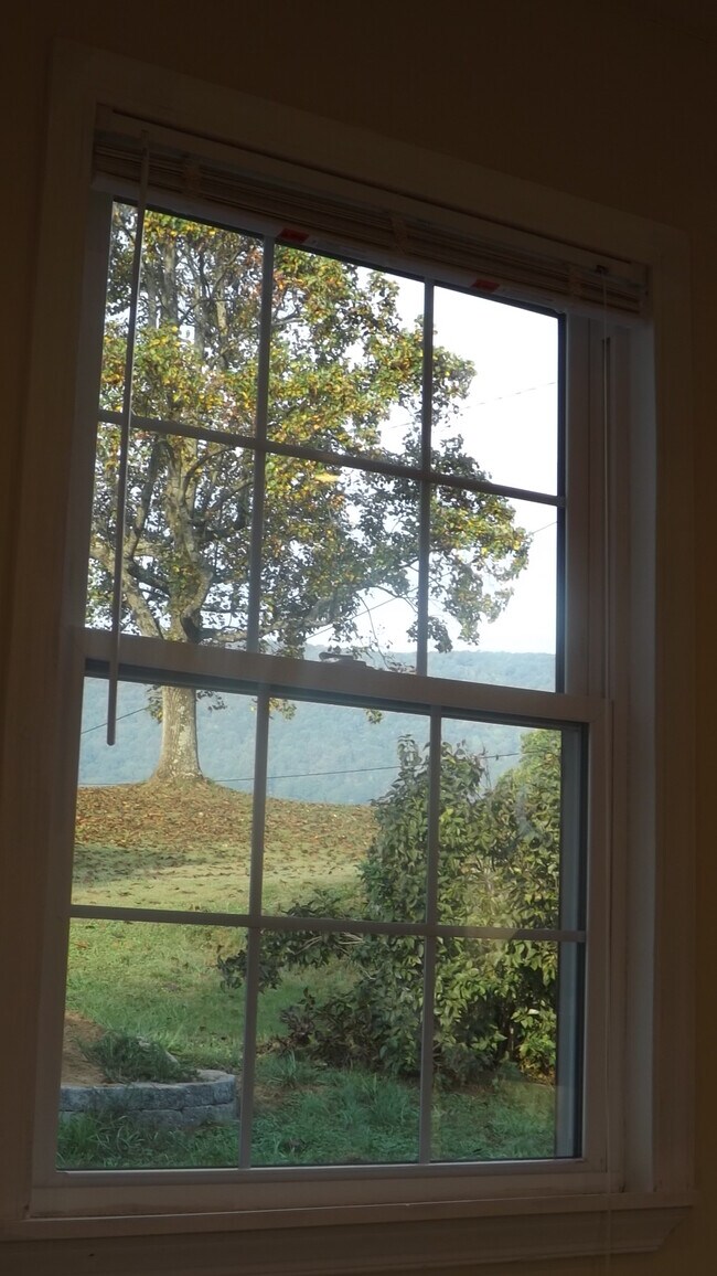 View from window - 4011 Bandy Rd