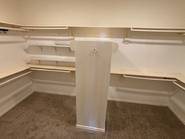 Building Photo - 2370 Calypso Ln