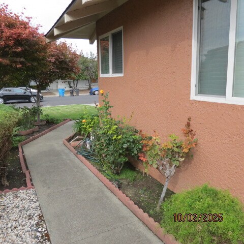 Walkway Entrance - 2132 Town and Country Ln