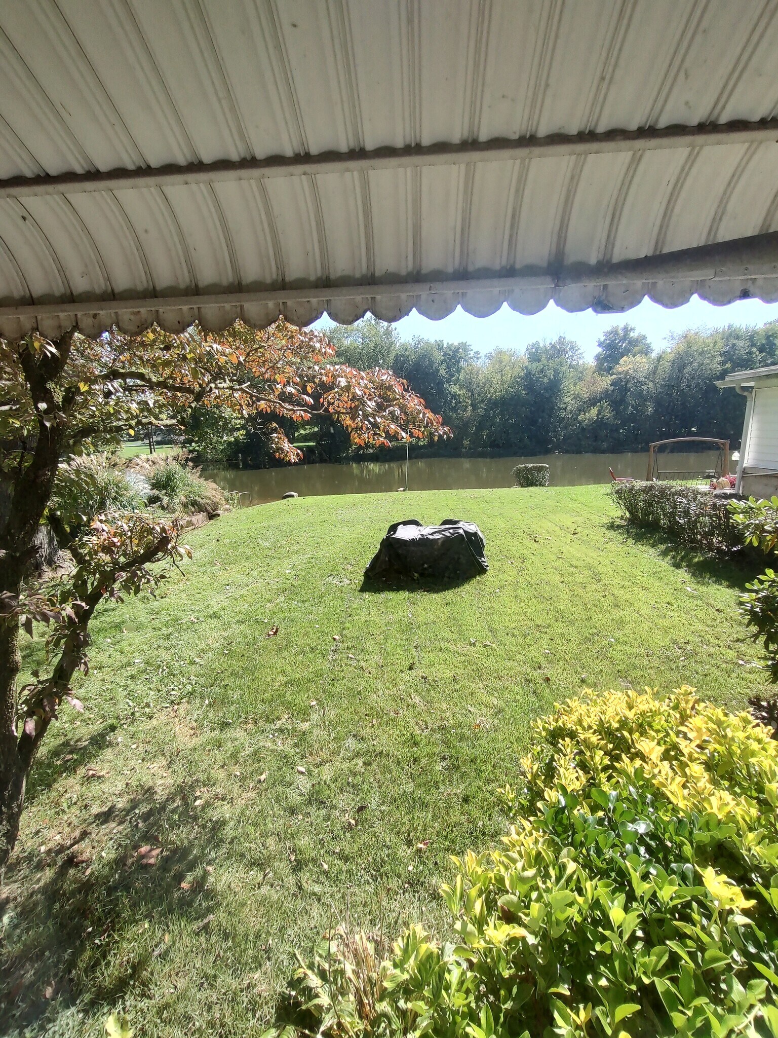 Backyard view from Living Room - 5685 Creekview Rd