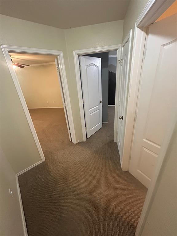 Building Photo - 731 Abundance Ln