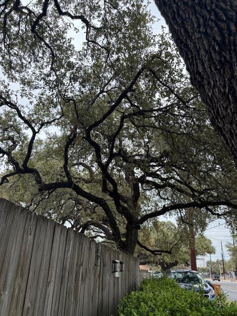 Building Photo - 2414 S 5th St