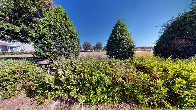 Building Photo - LOCATION! LOCATION! LOCATION!