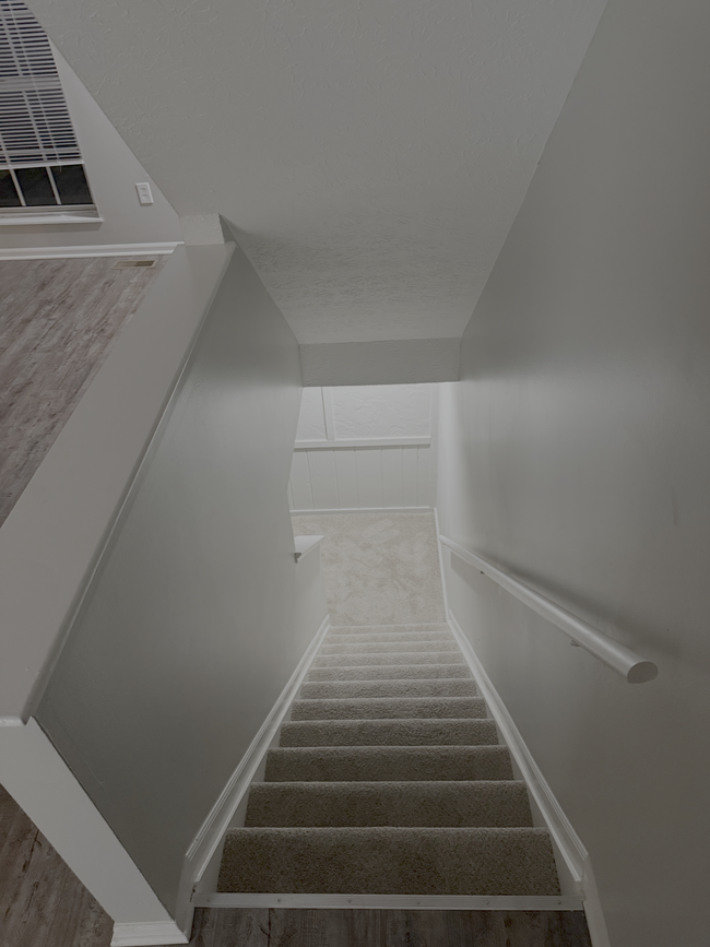 Carpeted staircase leads to a bright and functional lower level (basement) - 7778 Willowcove Ct