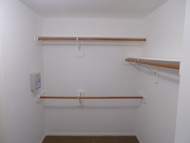 Building Photo - 18018 Imber Forest Ln