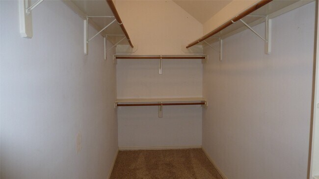 Building Photo - 4823 Cypress Spring Dr