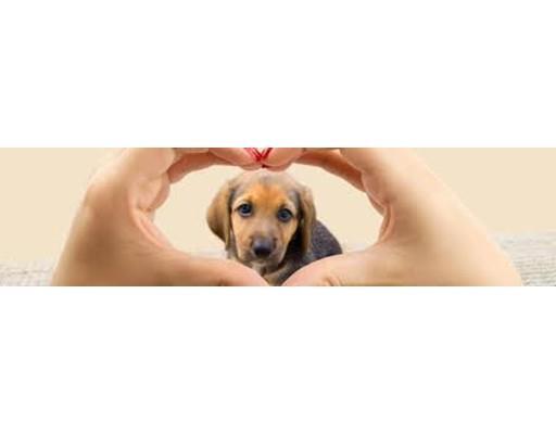 Building Photo - 380 W Broadway