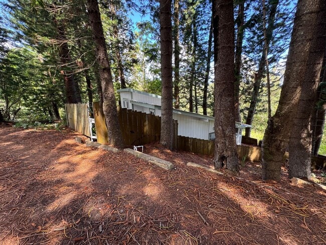 Building Photo - *Move in Bonus- First Month Free* Two Bed One Bath Cottage in Haiku