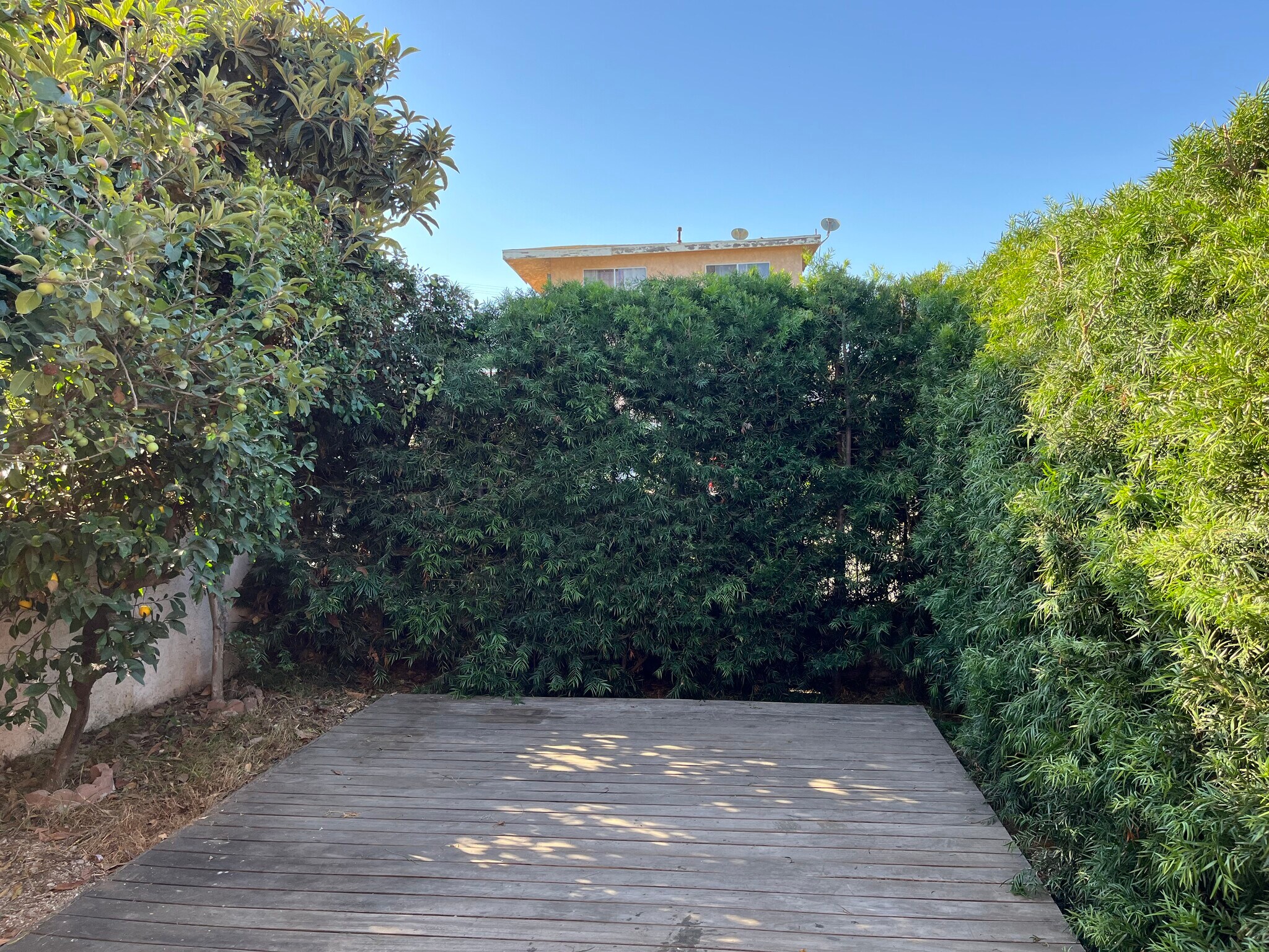 ?edges in front of the house create a private oasis. - 806 E 65th St