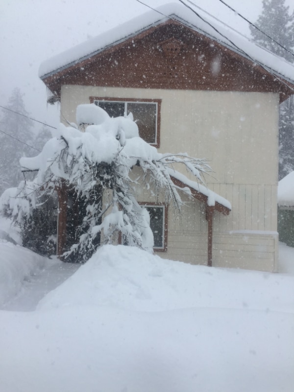 Building Photo - 4005 Cedar Ave