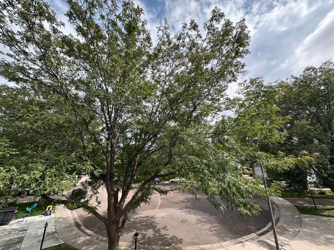Building Photo - 305 E 41st Ct