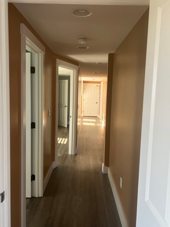 Building Photo - 51 Moore Rd