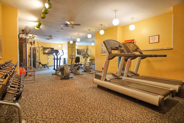 Building Photo - 6301 N Sheridan Rd