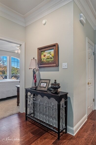 Building Photo - 1310 Bay Ridge Dr