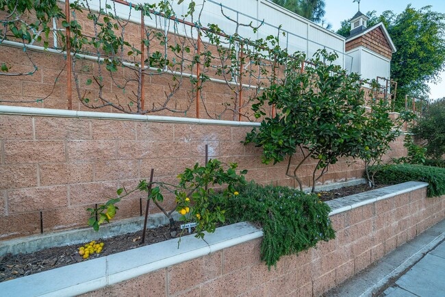 Building Photo - Charming Redondo Beach Home Rental!