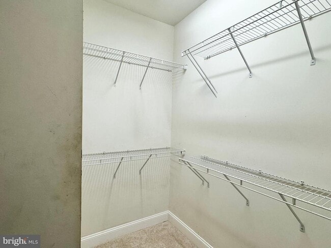 Building Photo - 2396 Brookmoor Ln