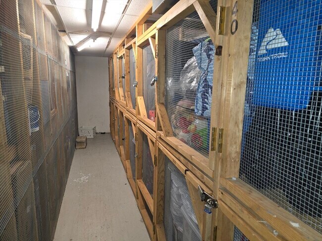 Building Photo - 230 Willard St