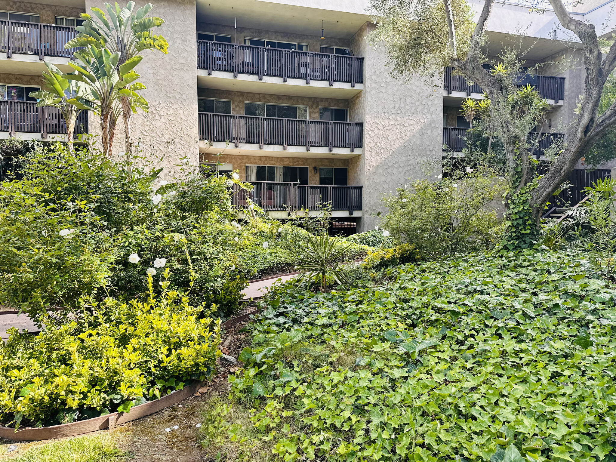 Building Photo - 6416 Friars Rd