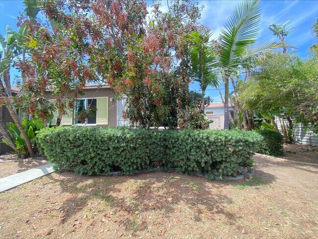 Building Photo - A North Park Gem! Remodeled! One of a kind...