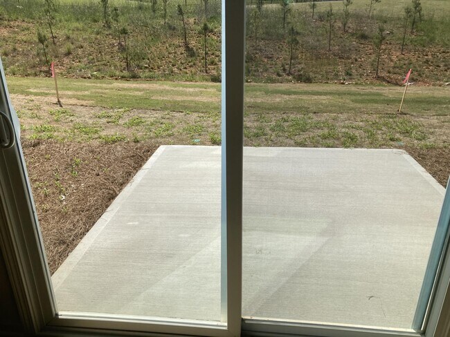 Building Photo - 336 Willowsford Dr