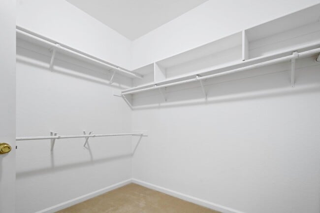 Building Photo - 991 Zephyr Ct