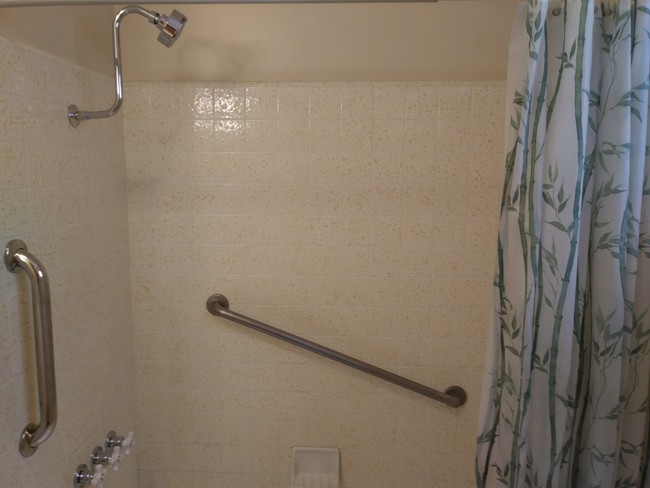 Shower/Bath - 914 Lincoln Blvd