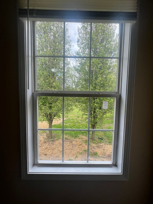 Building Photo - 3 BEDROOM-, 2 BATH MUST SEE!