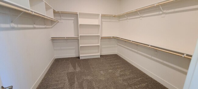 Building Photo - Stunning home with luxurious wood floor and beautiful spacious yard