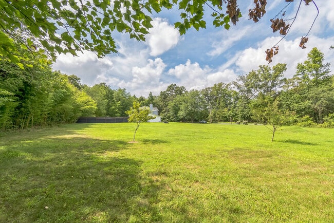 Building Photo - Pet Friendly Mid-Century Modern 4/Bedroom,...