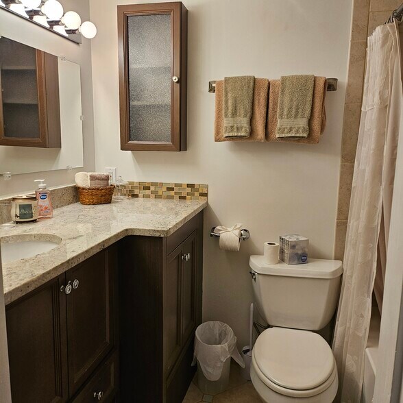 Guest Bathroom - 304 Forbes St