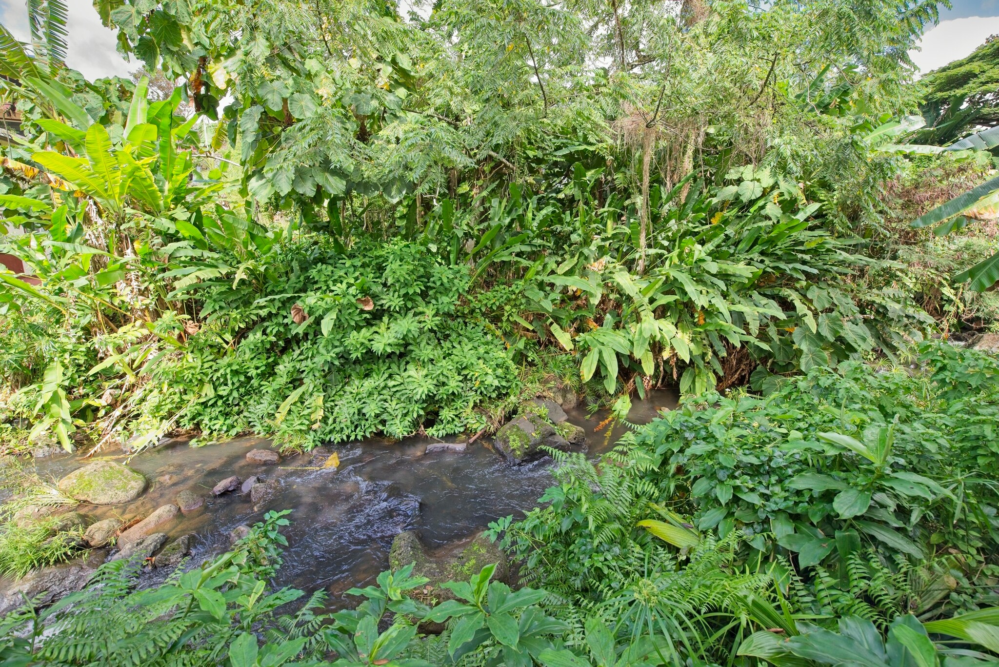 Building Photo - 2828 Dow St