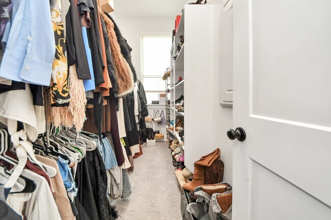 Building Photo - 4942 Carranza Ct