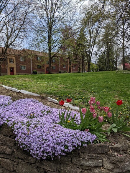 Building Photo - 5947 Belmont Ave