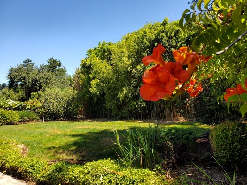 Building Photo - 13250 SE 127th Ave