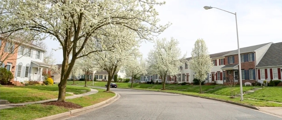 Tree lined streets - 1023 Baccharis Dr