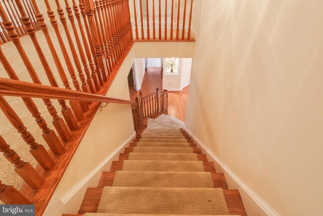 Building Photo - 13309 Big Cedar Ln