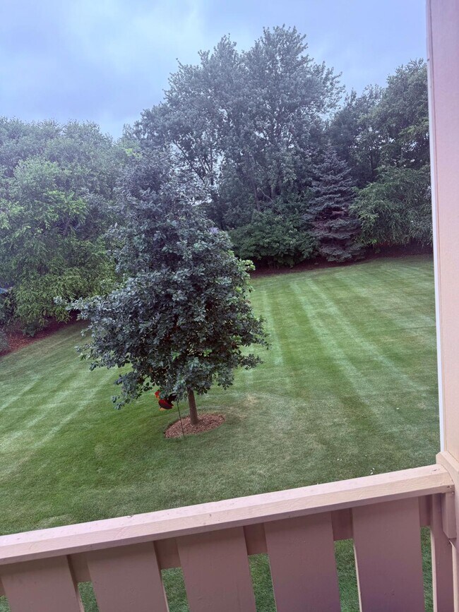 Building Photo - 735 Plum Tree Ct