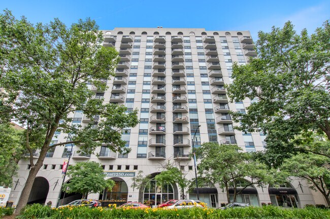 Primary Photo - 1250 N La Salle Dr