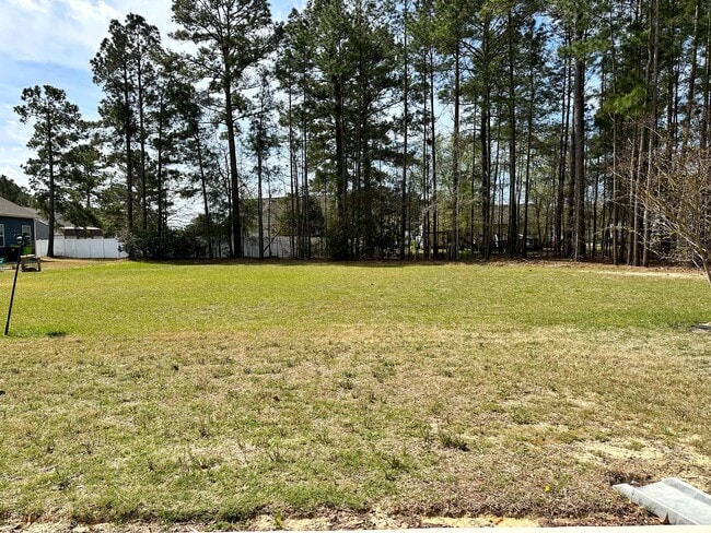 Building Photo - 1002 Rodanthe Dr