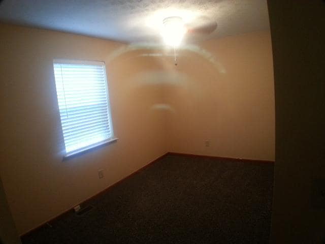 Building Photo - Charming 3 Bedroom / 2 Bath with Finished Basement!