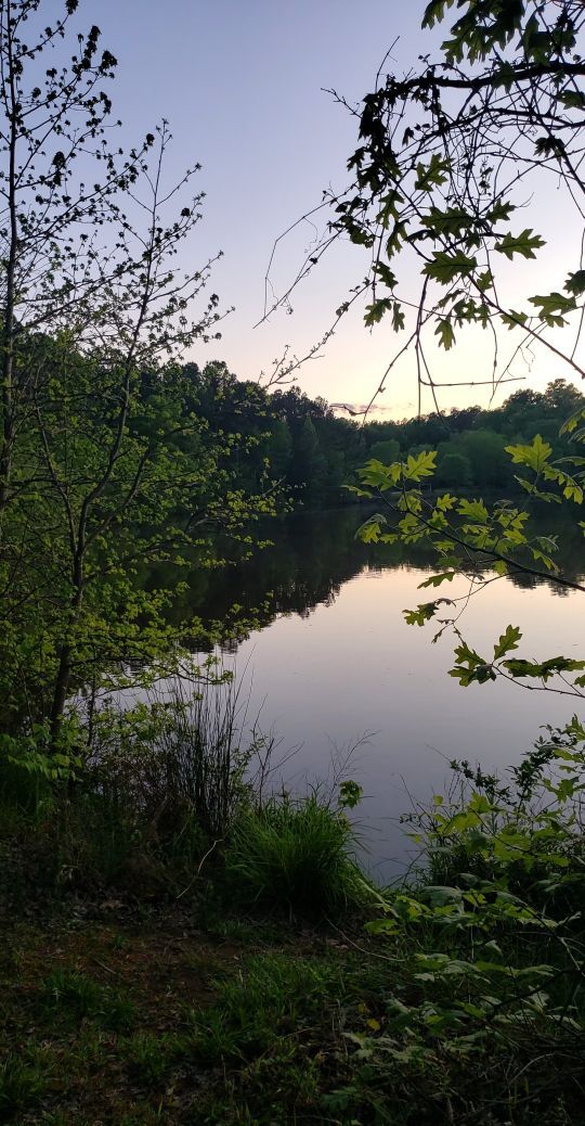 neighborhood pond, one block away - 4422 Beechnut Ln