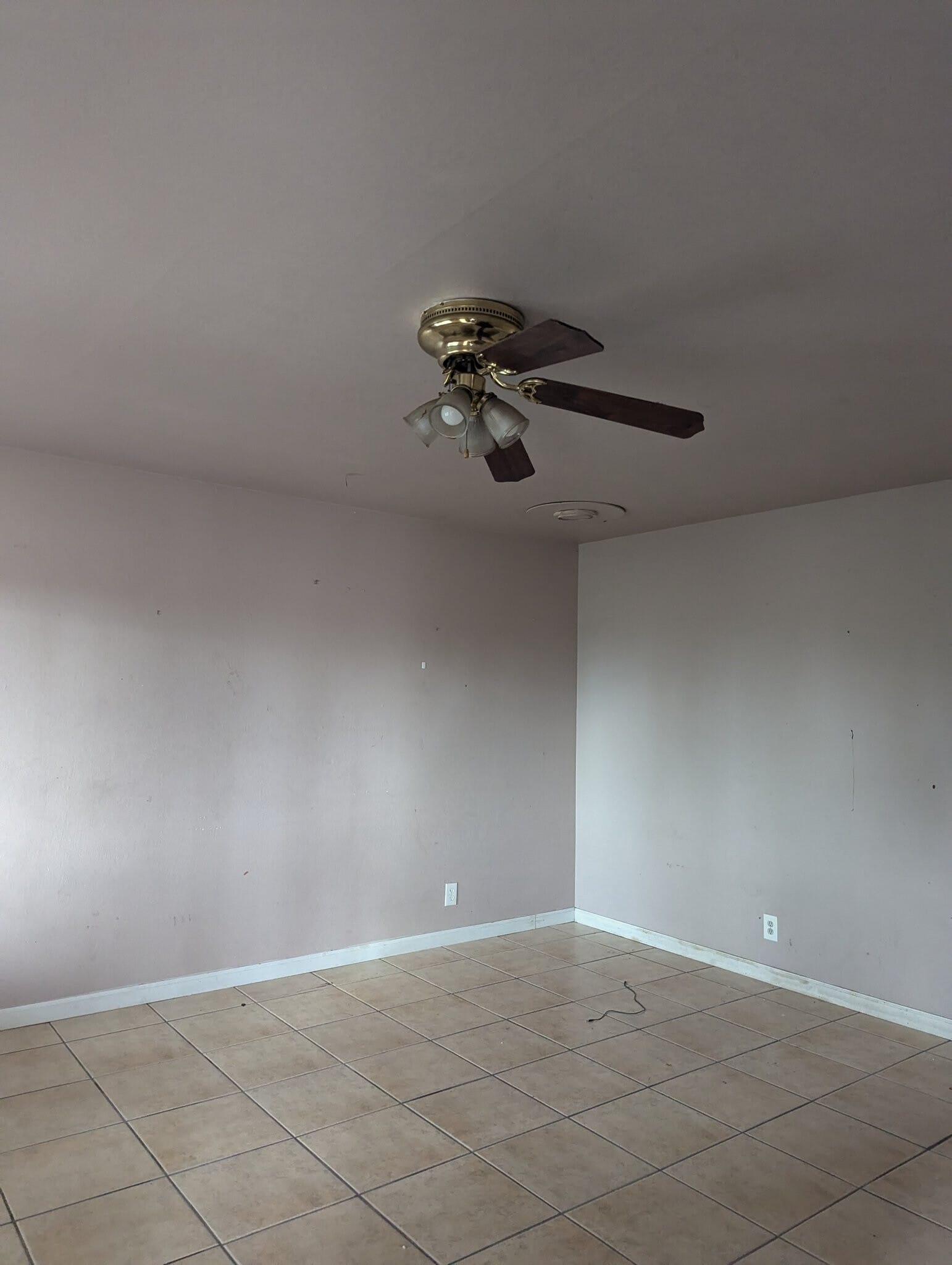 Building Photo - 918 N Branciforte Ave