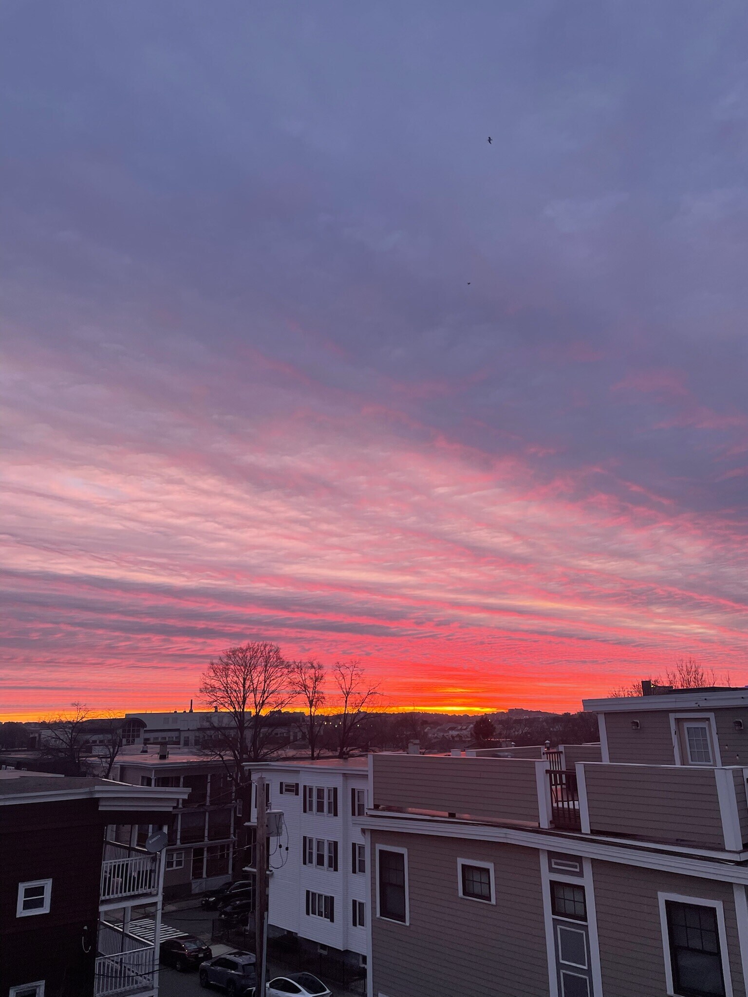 Building Photo - 127 Heath St