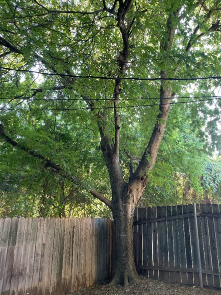 Building Photo - 2107 Courtney St