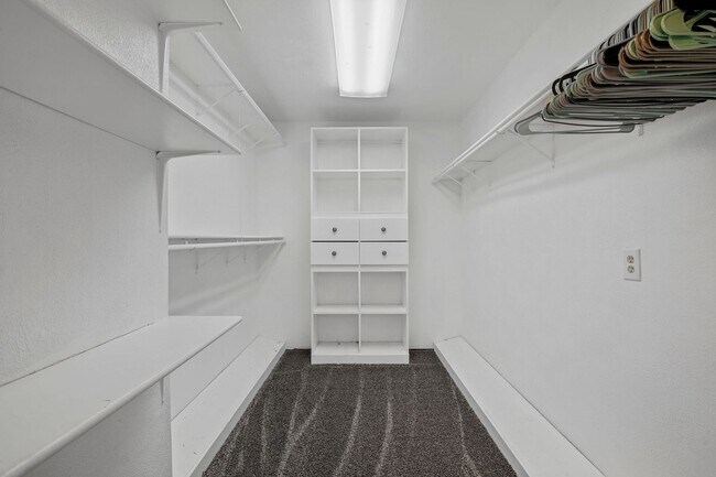 Building Photo - Amazing Layout Garland RISD