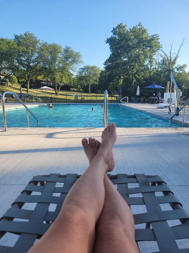 Building Photo - 34 Lausanne Ct