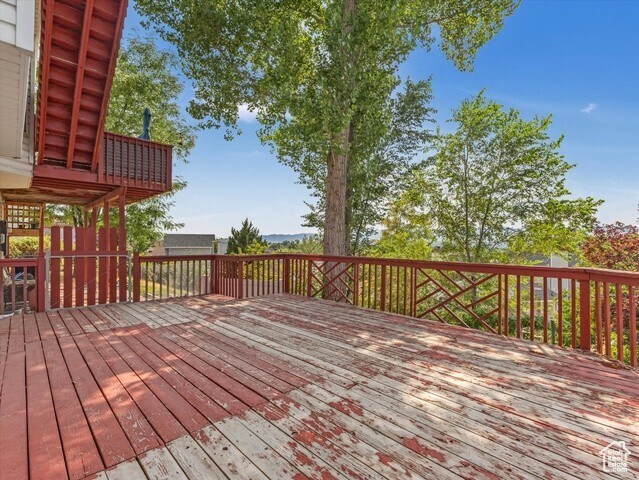 Building Photo - 9842 Tiger Eye Dr